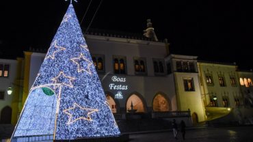 Primer árbol de navidad de Sintra