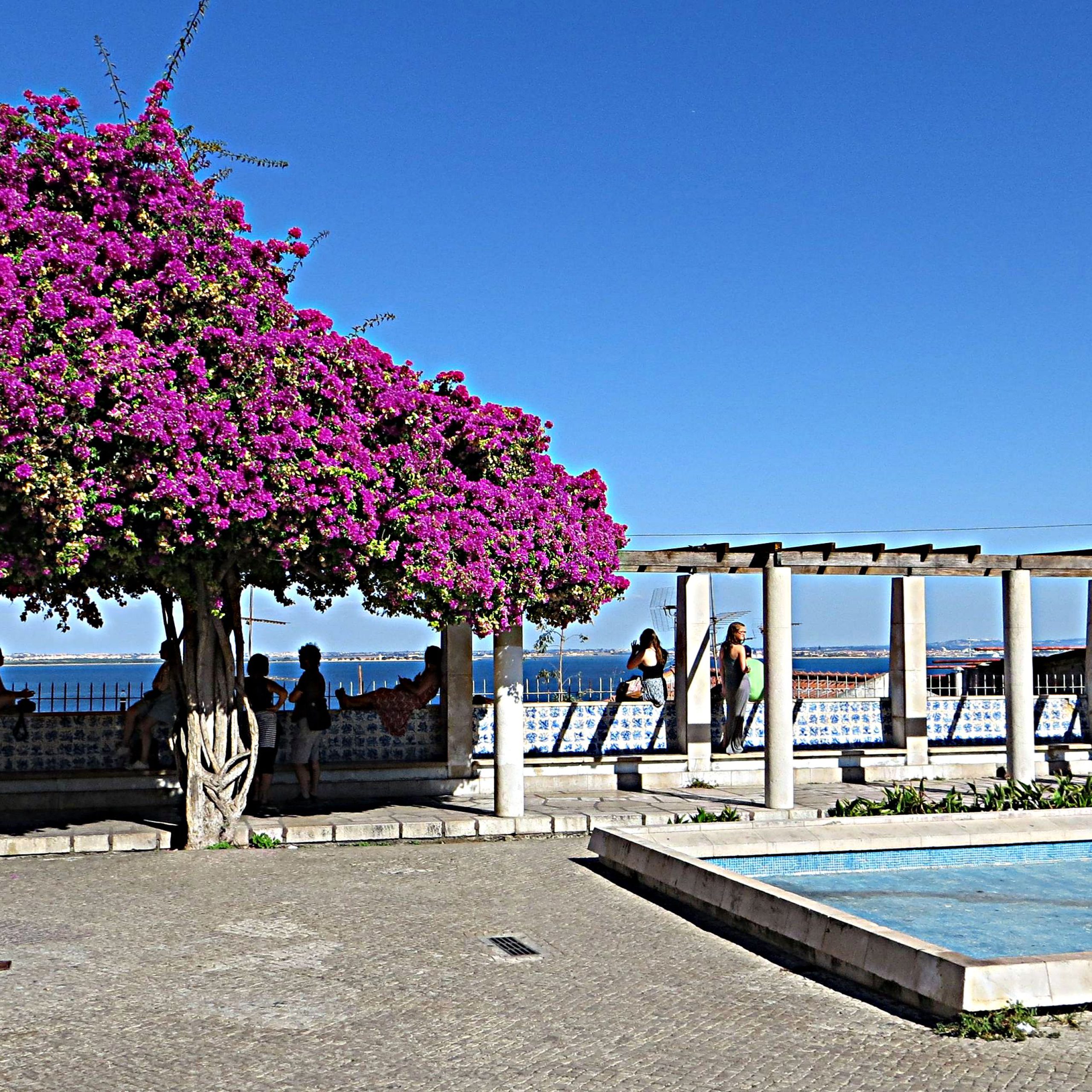 Miradouro de Santa Luzia