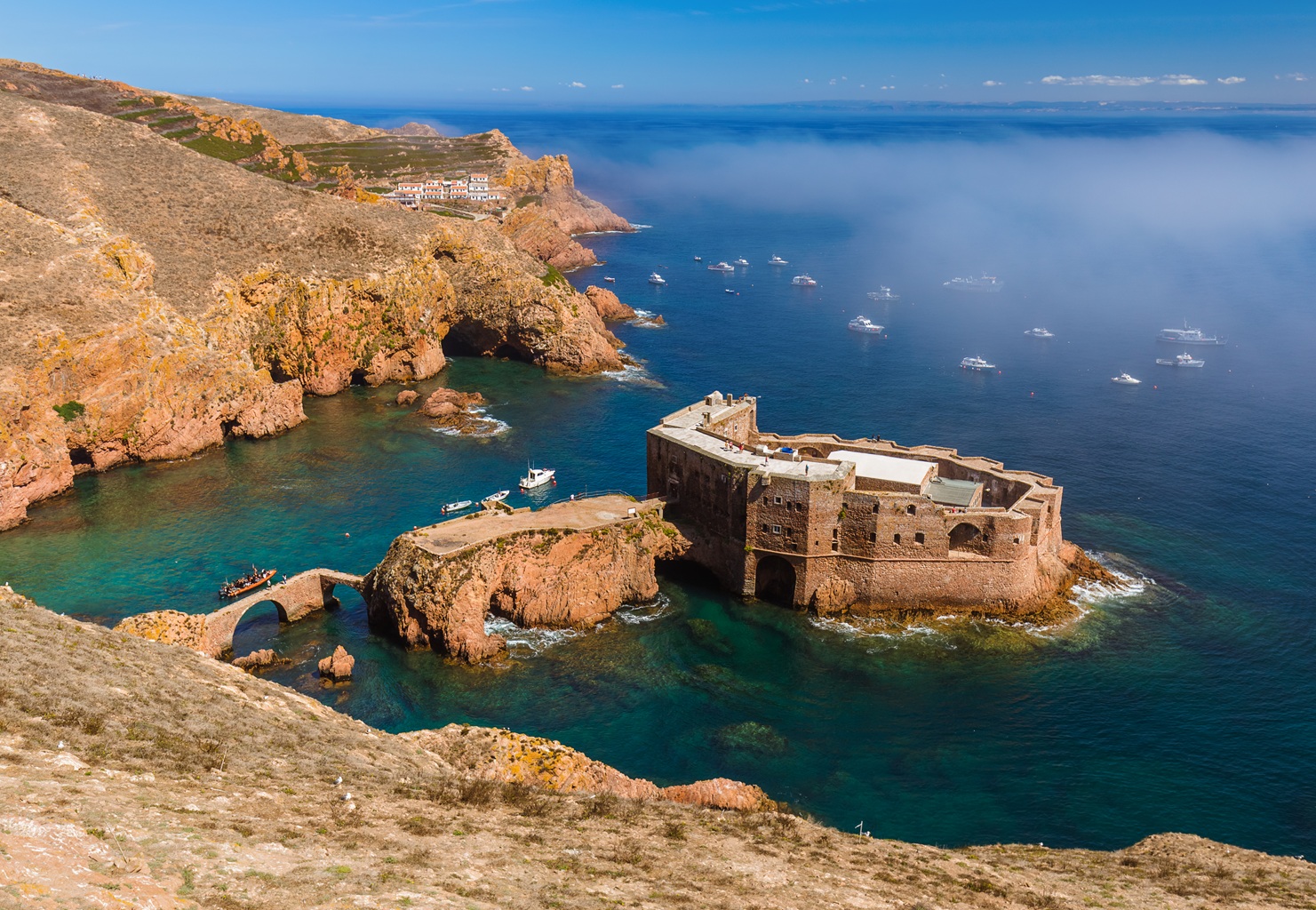 Private Journey From Lisbon To Romantic Berlenga Island