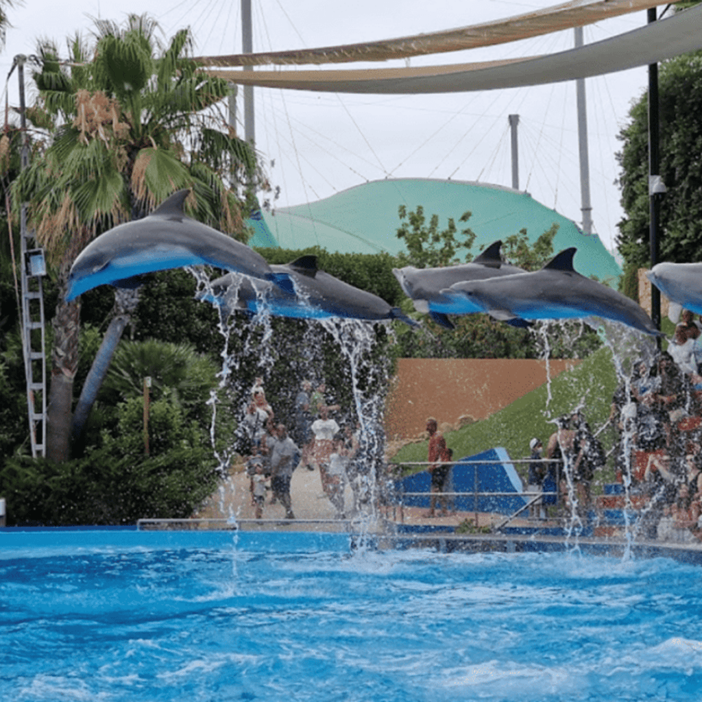 zoomarine-algarve-foi-eleito-o-melhor-parque-tem-tico-do-mundo