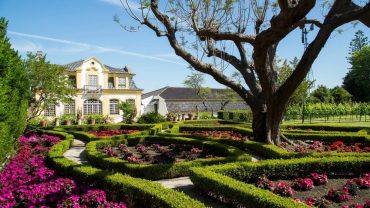 Le Prestige Silencieux d’Azeitão