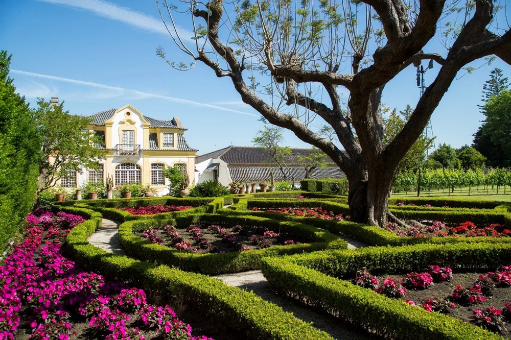 Panorama de Vila Nogueira de Azeitão