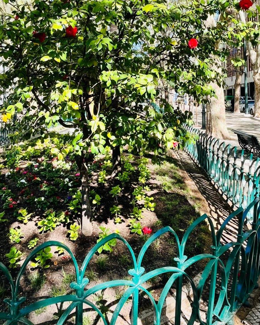 Avenida da Liberdade Monument