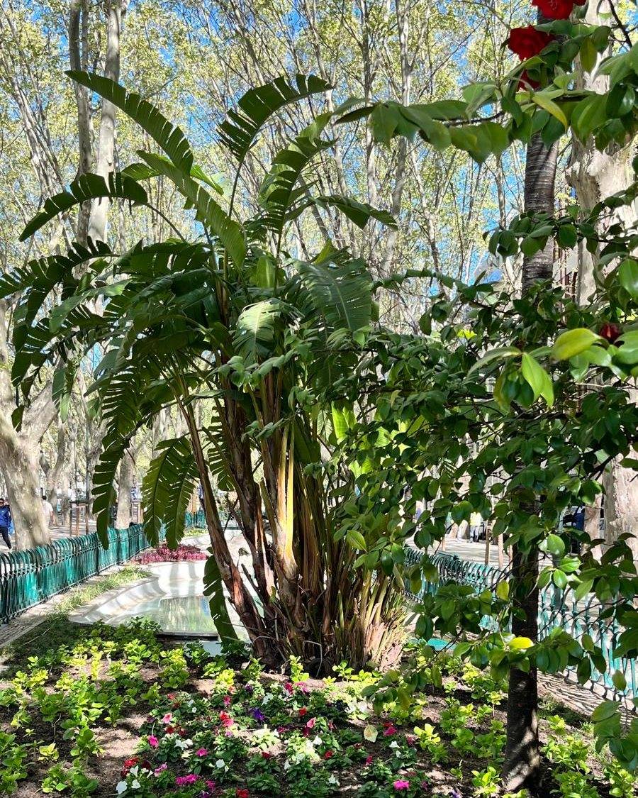 Avenida da Liberdade View